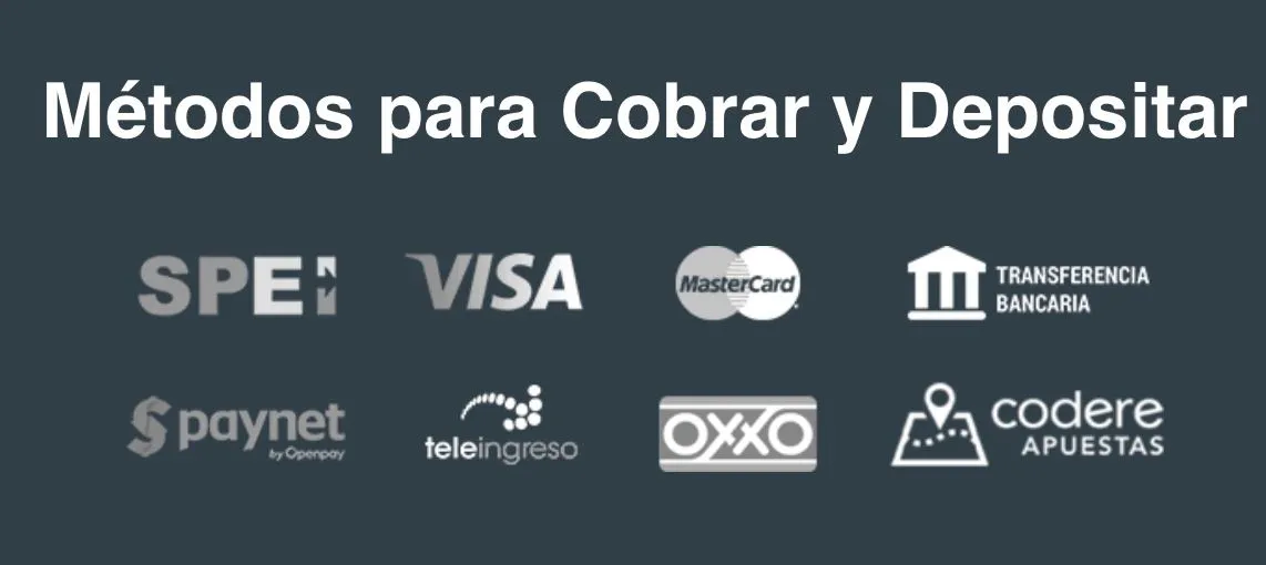 Un casino móvil ofrece varios métodos de pago Métodos de pago casino online